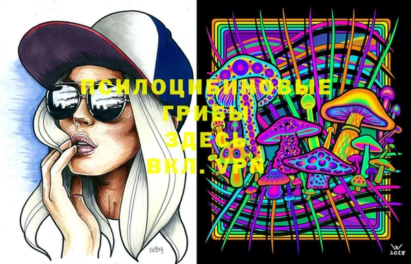 индика Алексин