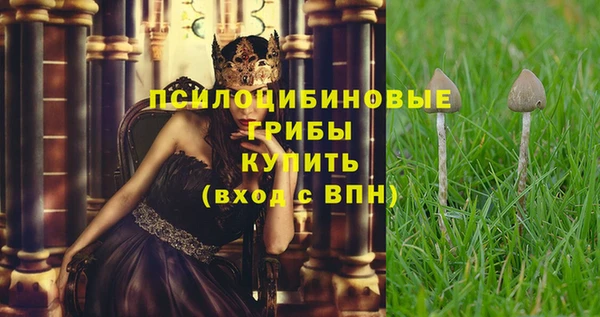 индика Алексин