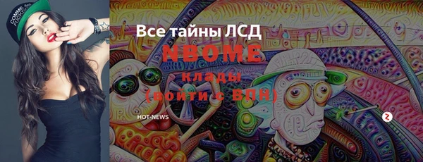 индика Алексин