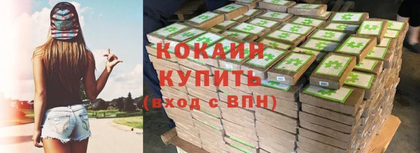 индика Алексин