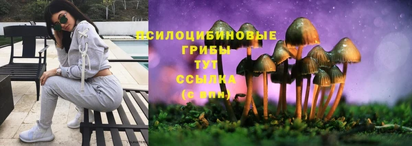 индика Алексин