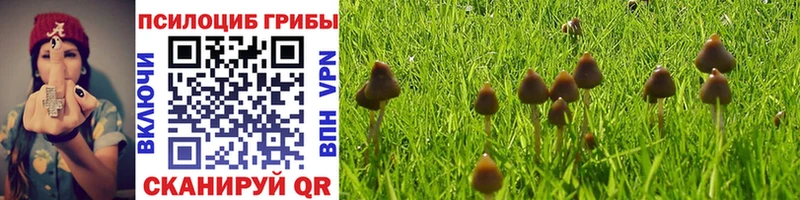 Галлюциногенные грибы Cubensis что такое наркотик Белокуриха