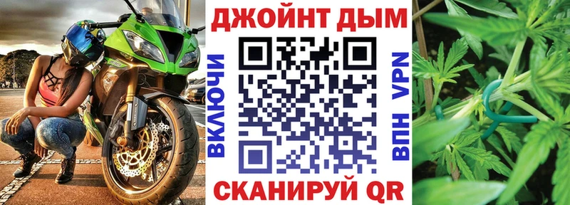 Конопля гибрид  Белокуриха 